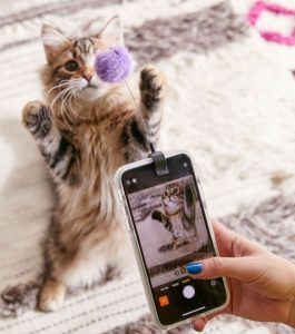 clip selfies pour chat